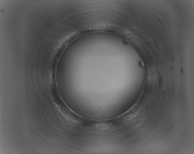 X0000071770636200606301156