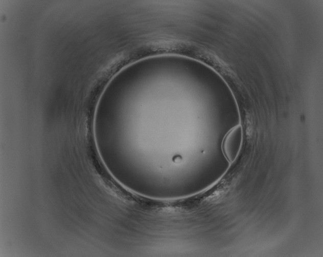 X0000071770637200606301156