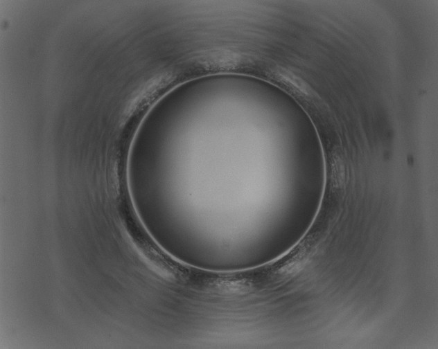 X0000071770638200606301156