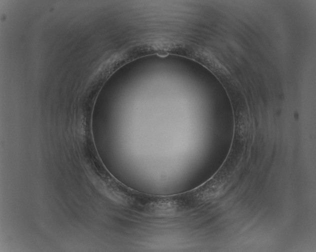 X0000071770639200606301156