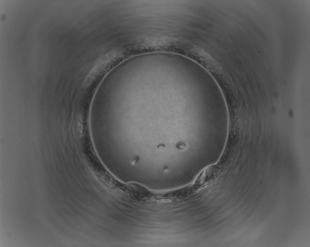 X0000071770640200606301156