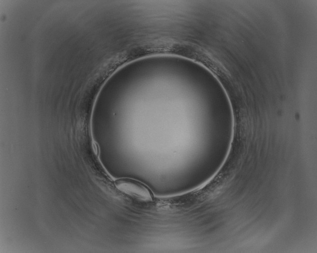 X0000071770641200606301156