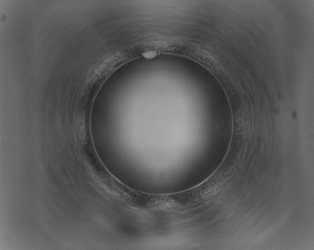 X0000071770642200606301156