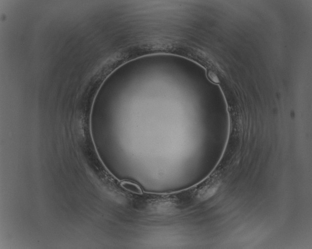 X0000071770643200606301156