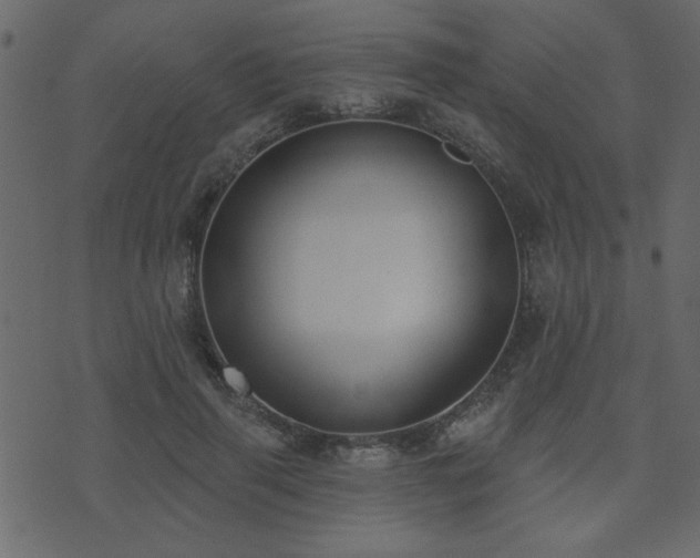 X0000071770645200606301156