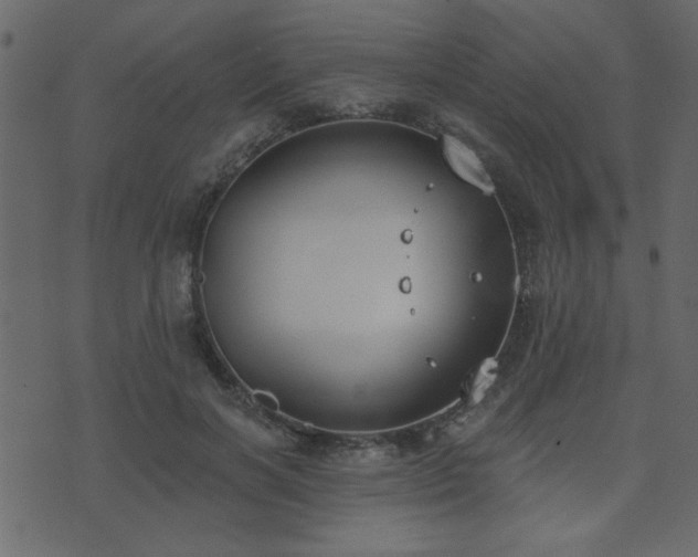 X0000071770646200606301156