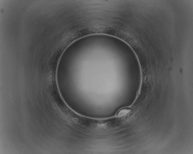 X0000071770647200606301156