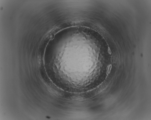 X0000071770648200606301156