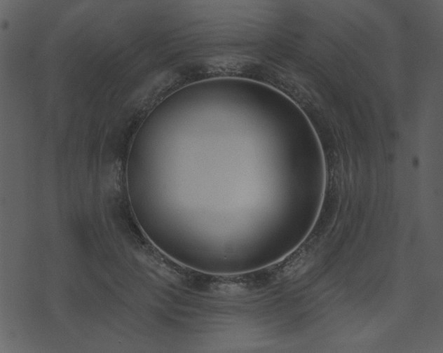 X0000071770649200606301156