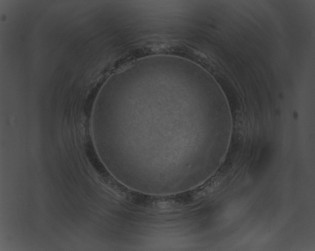 X0000071770650200606301156