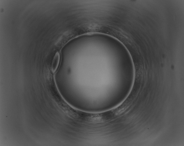 X0000071770651200606301156