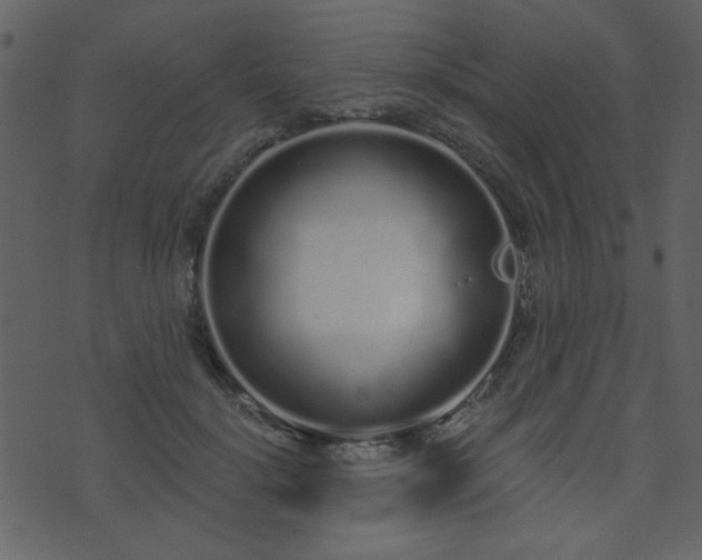 X0000071770652200606301156