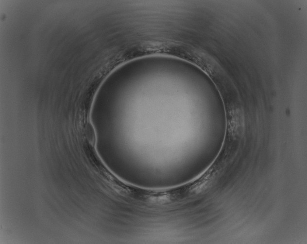 X0000071770653200606301156