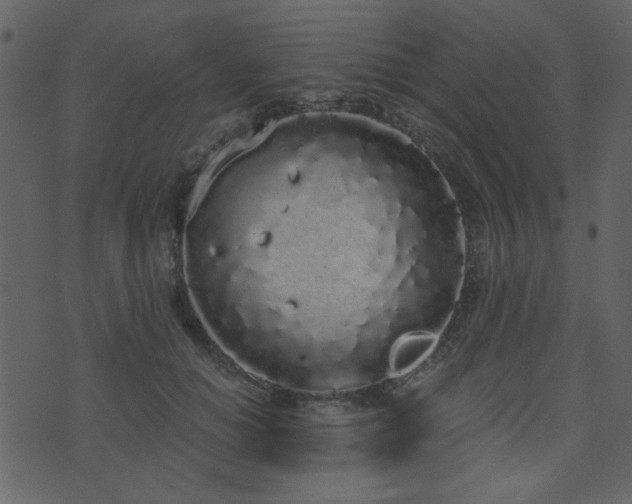 X0000071770654200606301156