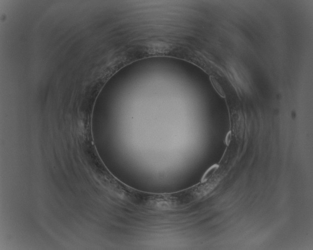 X0000071770655200606301156