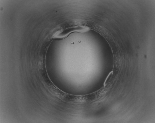 X0000071770656200606301156