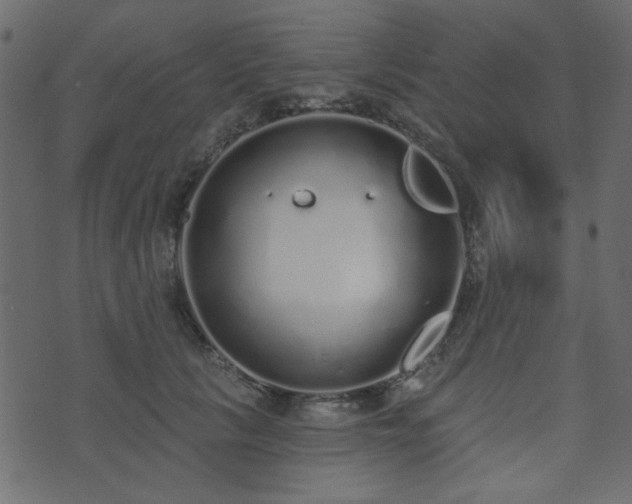 X0000071770657200606301156