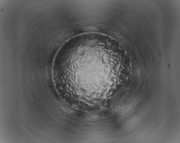 X0000071770658200606301156