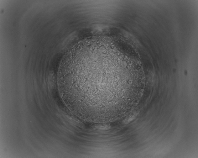 X0000071770659200606301156