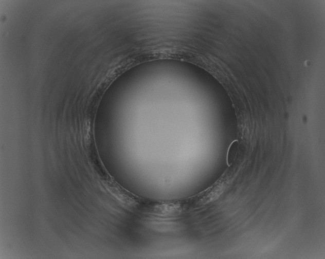 X0000071770660200606301156