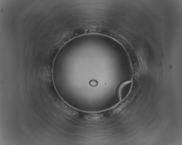 X0000071770661200606301156