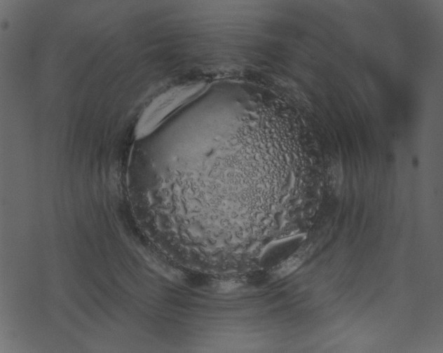 X0000071770662200606301156