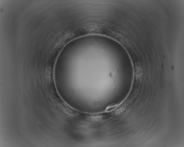 X0000071770664200606301156