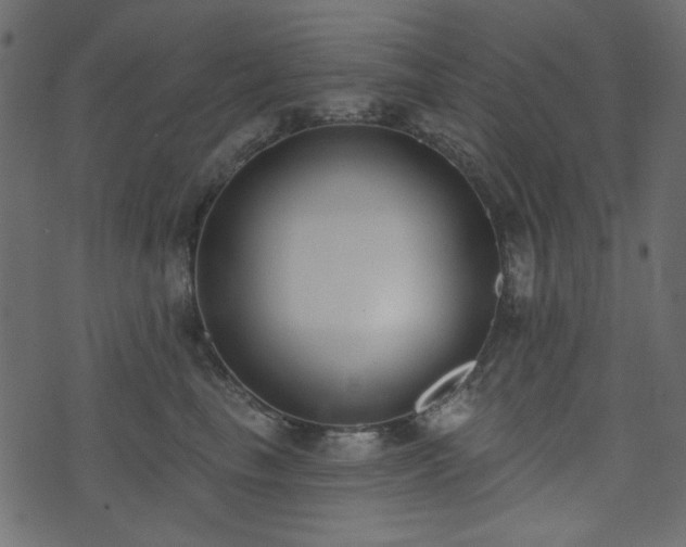 X0000071770665200606301156