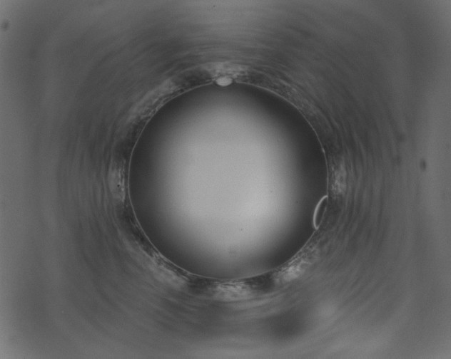 X0000071770666200606301156