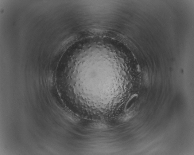 X0000071770668200606301156