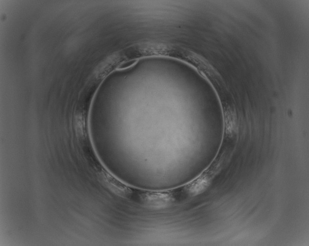 X0000071770669200606301156