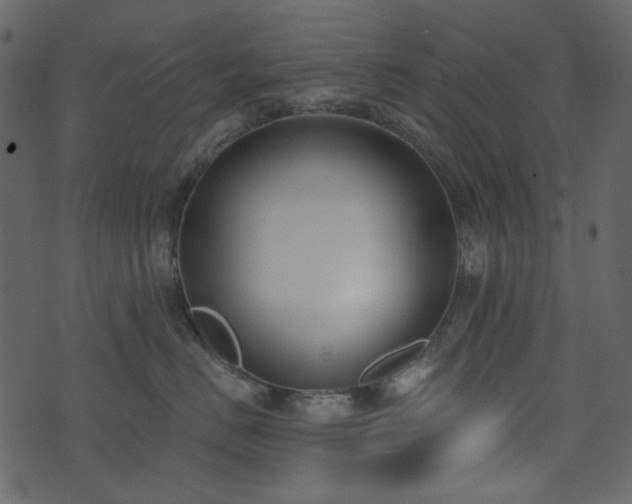 X0000071770670200606301157