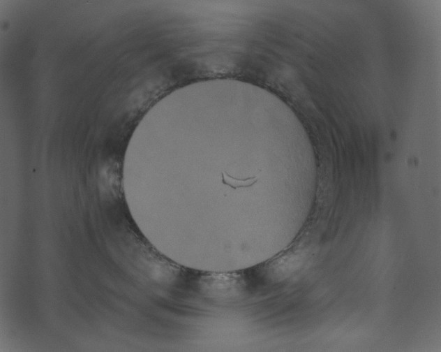 X0000071770672200606301157