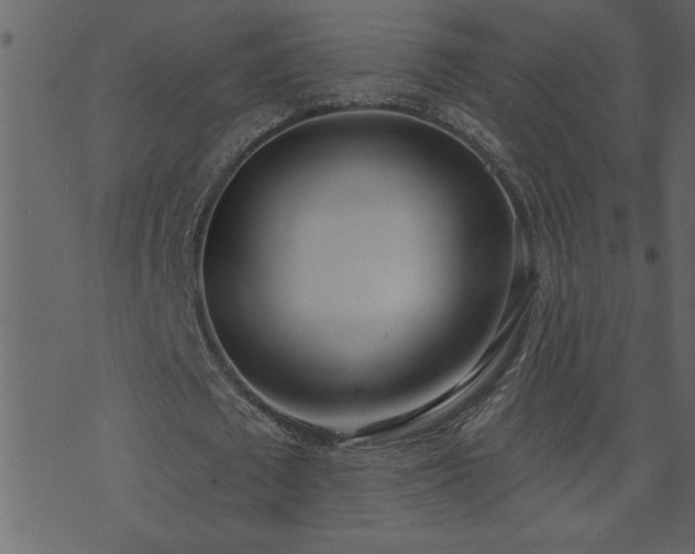 X0000071770673200606301156