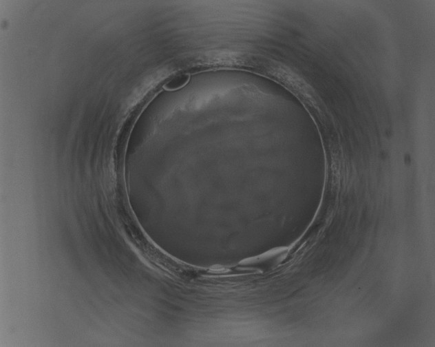 X0000071770674200606301156