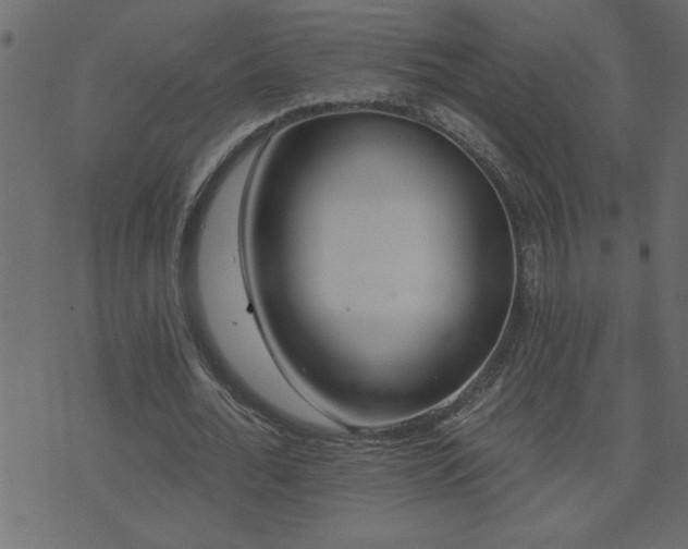 X0000071770676200606301156