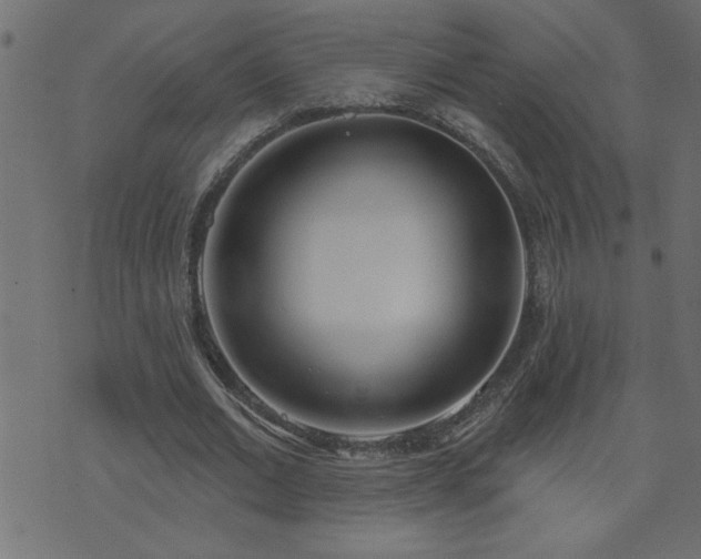 X0000071770677200606301156