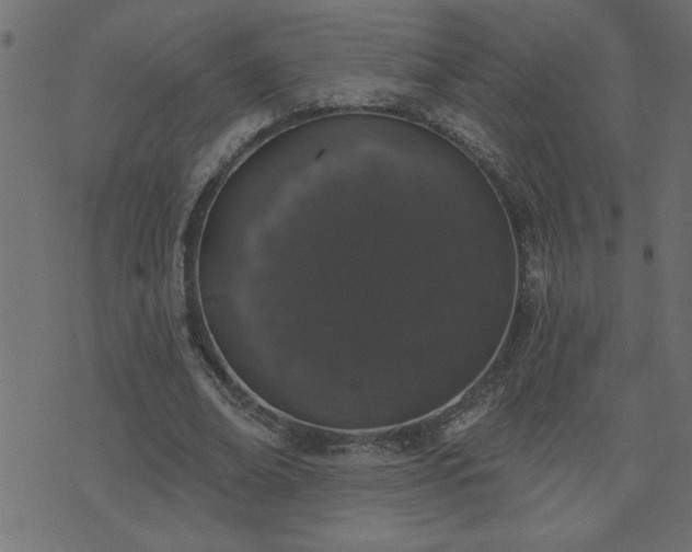 X0000071770678200606301156