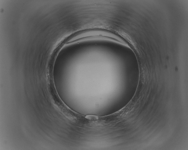 X0000071770680200606301156