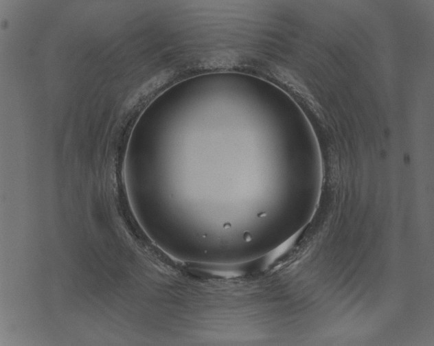 X0000071770681200606301156