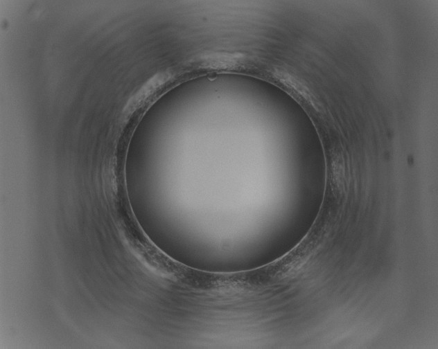 X0000071770682200606301156