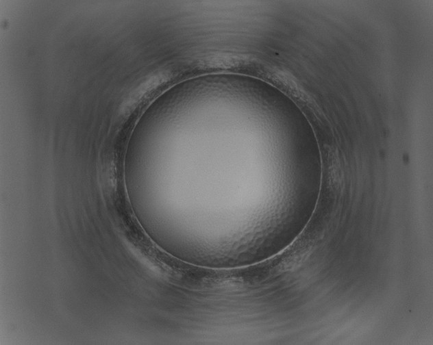 X0000071770683200606301156