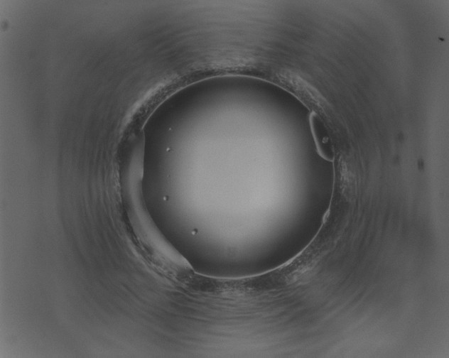 X0000071770684200606301156