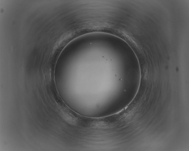 X0000071770685200606301156