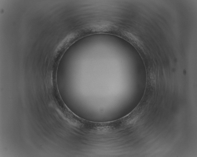 X0000071770686200606301156