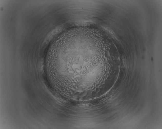 X0000071770687200606301156