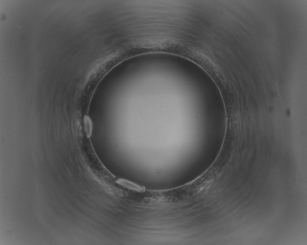 X0000071770688200606301156