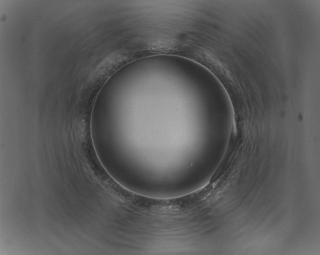 X0000071770689200606301156