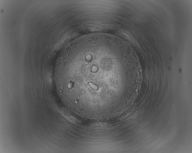 X0000071770691200606301155