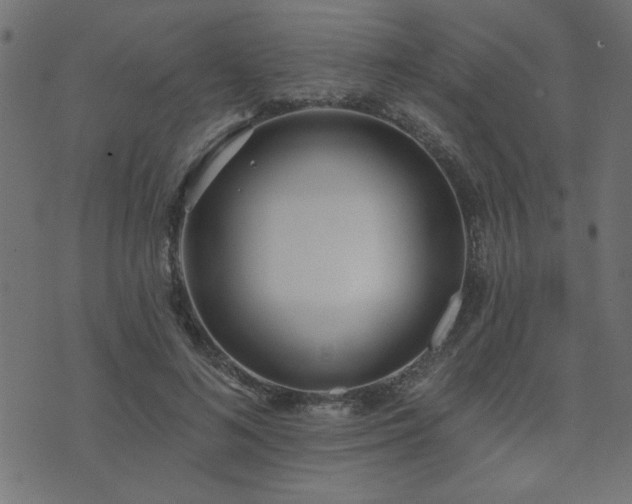 X0000071770692200606301155